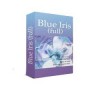 Software Blueiris