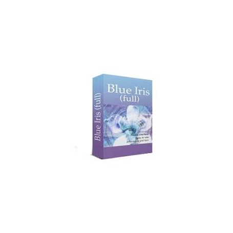 Software Blueiris